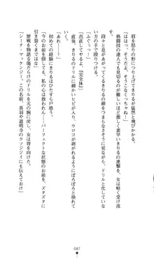 どりる★クライシス 僕のドリルは止まらない, 日本語