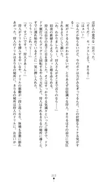 どりる★クライシス 僕のドリルは止まらない, 日本語