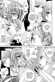 Brandish 5 Ch. 26-30, English