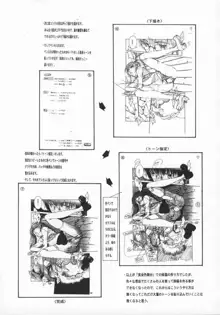 黄金色舞台 5, 日本語