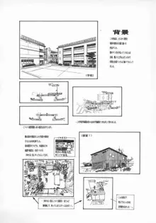 黄金色舞台 5, 日本語