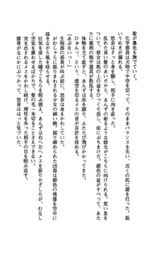 生徒会長水城悠奈 放課後の魔辱, 日本語