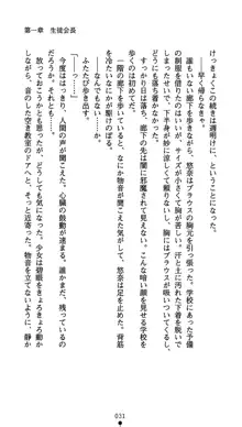 生徒会長水城悠奈 放課後の魔辱, 日本語