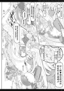 Mahou Shoujo 10.0 (decensored), 中文