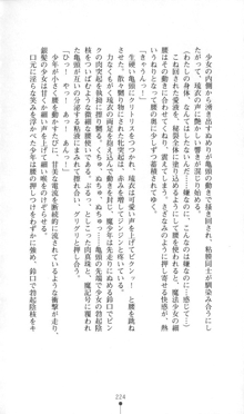 魔人形ハンター琉衣, 日本語