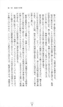 魔人形ハンター琉衣, 日本語