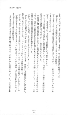 魔人形ハンター琉衣, 日本語