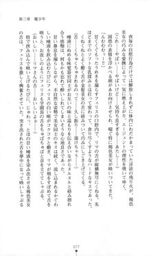 魔人形ハンター琉衣, 日本語