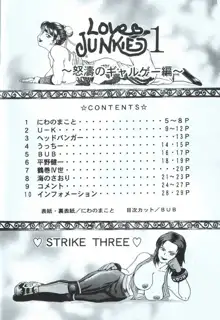 LOVE JUNKIE 1 怒濤のギャルゲー編, 日本語