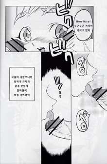 Urabambi Vol. 16 - Little Suckers, 한국어