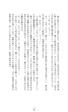 新・呪い屋零 淫魔の塔, 日本語