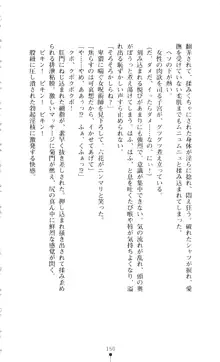 新・呪い屋零 淫魔の塔, 日本語