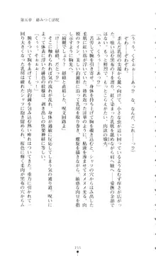 新・呪い屋零 淫魔の塔, 日本語