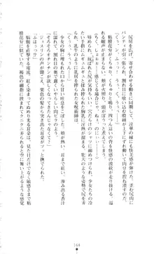 新・呪い屋零 淫魔の塔, 日本語