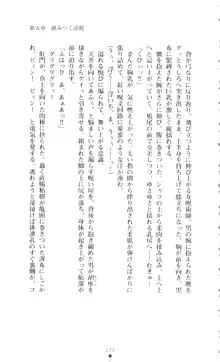 新・呪い屋零 淫魔の塔, 日本語