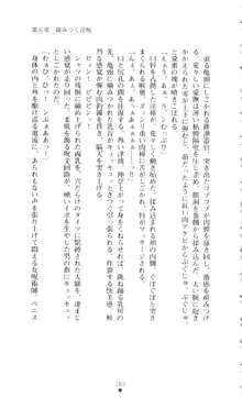 新・呪い屋零 淫魔の塔, 日本語