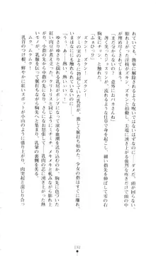 新・呪い屋零 淫魔の塔, 日本語