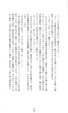 新・呪い屋零 淫魔の塔, 日本語