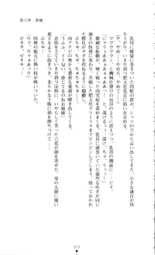 新・呪い屋零 淫魔の塔, 日本語