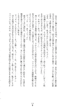 新・呪い屋零 淫魔の塔, 日本語