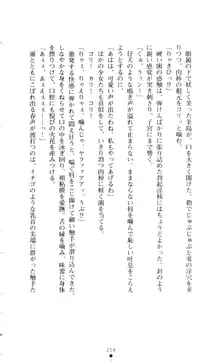 新・呪い屋零 淫魔の塔, 日本語