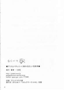 アリスとパチュリーに教わる正しい性教育, 日本語