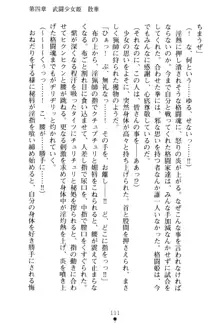 武闘少女姫 桜輝, 日本語