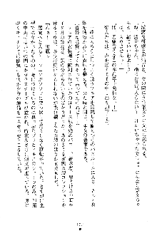 漆黒の巫女レディシャドウ 魅惑の姉妹, 日本語