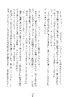 漆黒の巫女レディシャドウ 魅惑の姉妹, 日本語