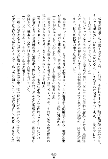 漆黒の巫女レディシャドウ 魅惑の姉妹, 日本語