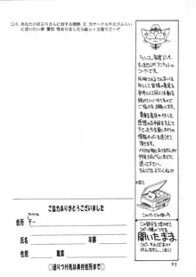 独立混成西野兵団, 日本語