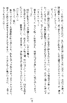 神狼の戦巫女 神凪沙織, 日本語