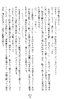 神狼の戦巫女 神凪沙織, 日本語