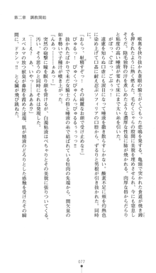 聖剣士ソフィリア 悦楽の調教呪縛, 日本語