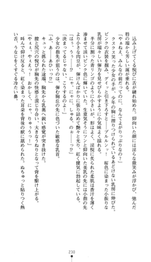 魔法少女シフォン 汚された桃姫, 日本語