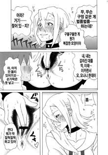 Himeko-san ni Iroiro Tanondemita。, 한국어