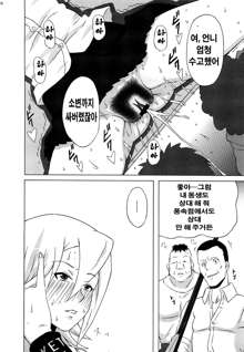 Himeko-san ni Iroiro Tanondemita。, 한국어