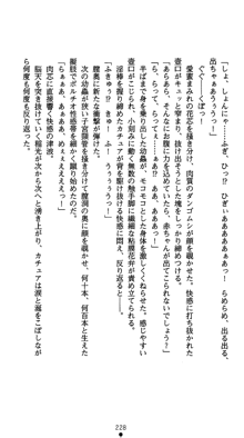 プリンセスナイト☆カチュア～淫獄の竜騎姫～, 日本語