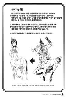 Centaur Musume de Manabu Hajimete no Thoroughbred, 한국어