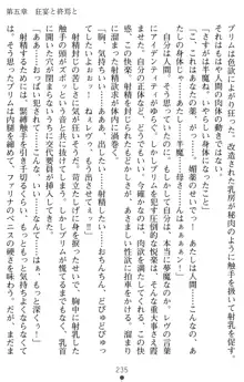 退魔シスターズ 聖女淫辱の儀式, 日本語