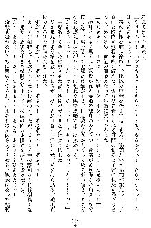 沙織 侍姫秘録, 日本語