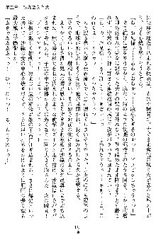 沙織 侍姫秘録, 日本語