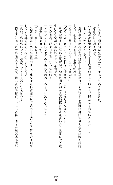 魔戦姫 紗夜 淫辱の闘宴, 日本語