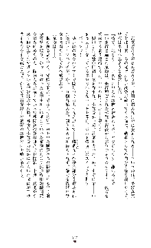 魔戦姫 紗夜 淫辱の闘宴, 日本語