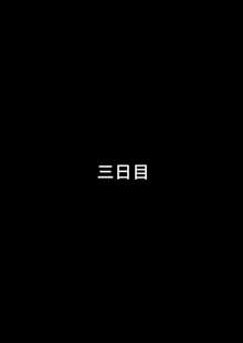 僕の知らない妻の七日間case/aoi, 日本語