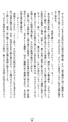 守護聖女プリズムセイバー 乙女たちの散華, 日本語