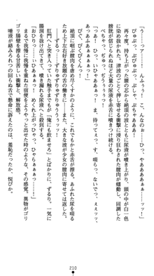 守護聖女プリズムセイバー 乙女たちの散華, 日本語