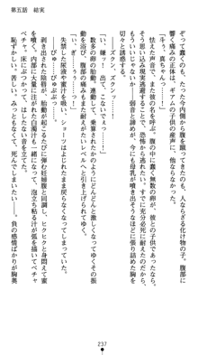 守護聖女プリズムセイバー 乙女たちの散華, 日本語