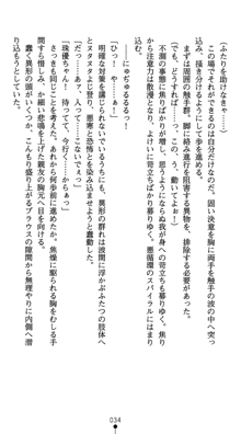 守護聖女プリズムセイバー 乙女たちの散華, 日本語