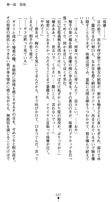 守護聖女プリズムセイバー 乙女たちの散華, 日本語